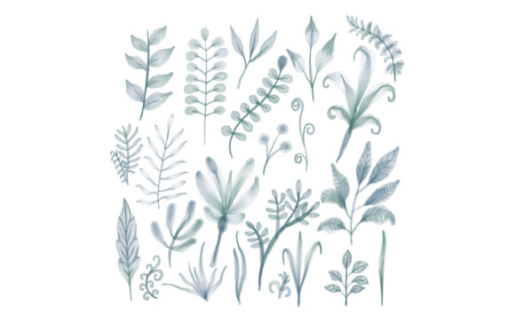 Botanical Floral Watercolor Isolated: A Versatile Artistic Tool for Modern Creators