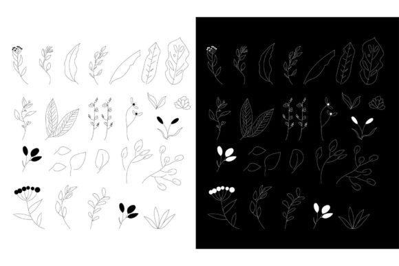 Explore the Versatile Floral Doodle Collection