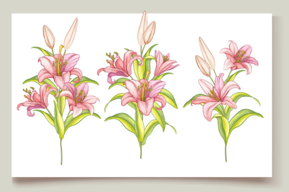 Hand Drawn Floral Invitation Card Set: A Perfect Choice for Your Special Occasions