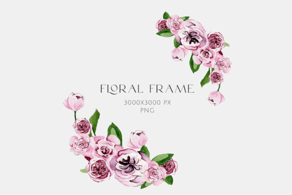 Watercolor Floral of Pink Peonies